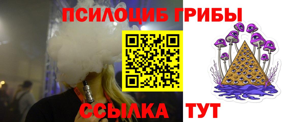 Галлюциногенные грибы Psilocybe  Вход с VPN  Гусь-Хрустальный  Псилоцибиновые грибы прущие грибы 